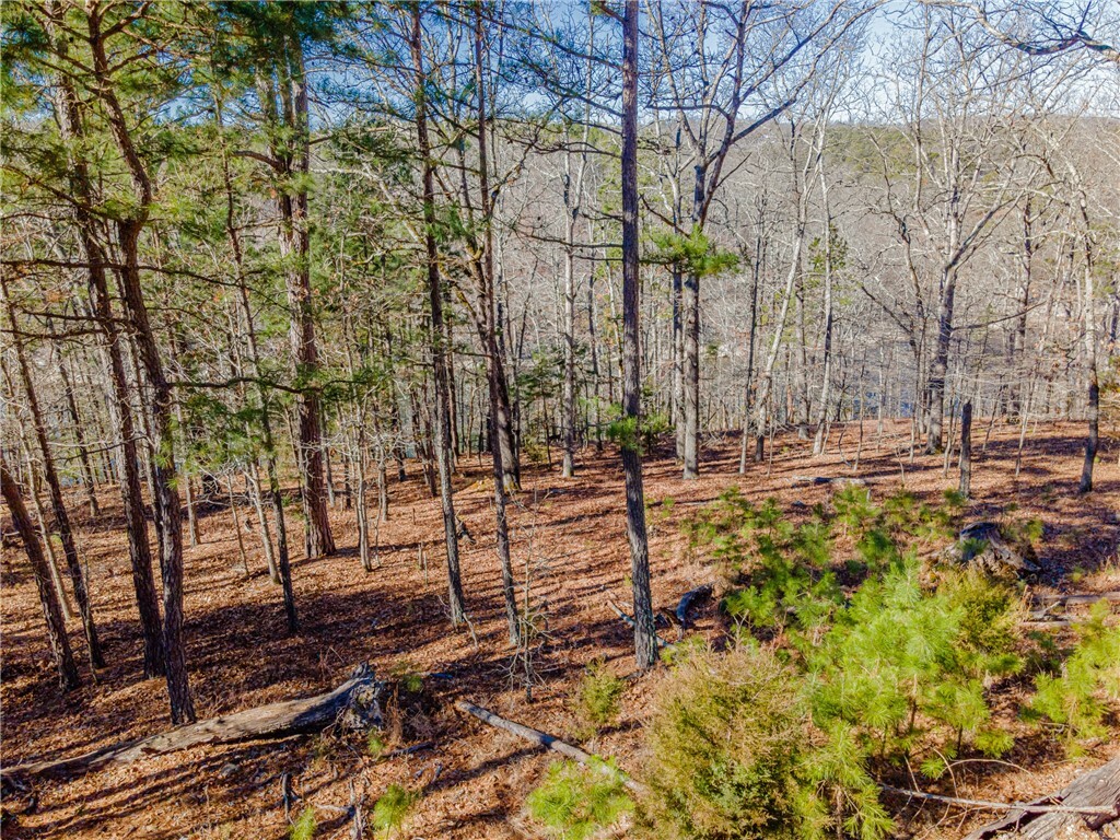 Property Photo:  10637 Lakeside Drive  AR 72756 