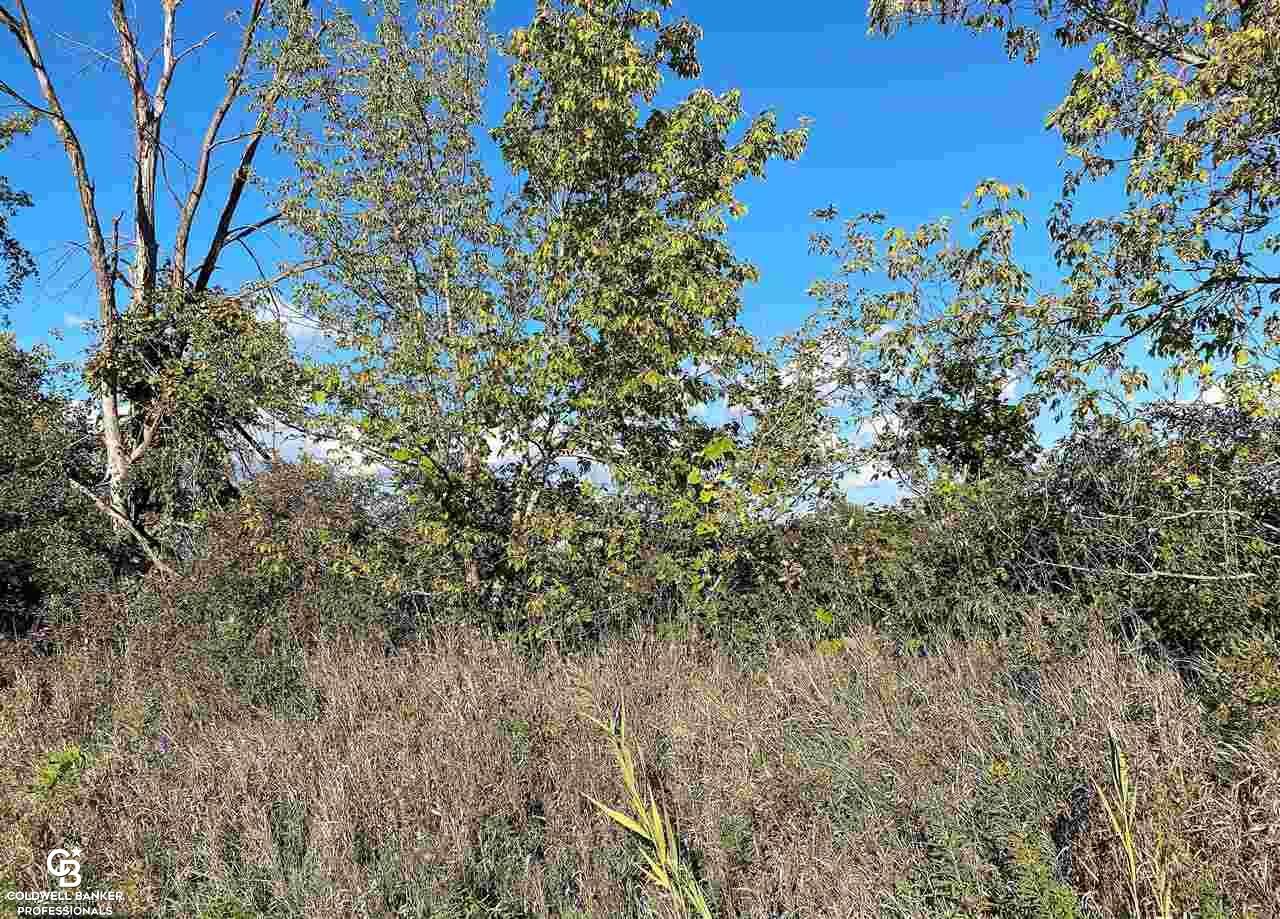 Property Photo: 00 Deland MI 48062