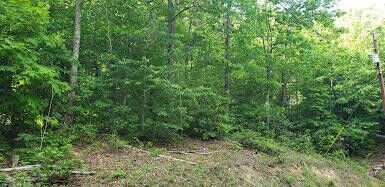 Property Photo: Lot 1182 Walnut Court TN 37876
