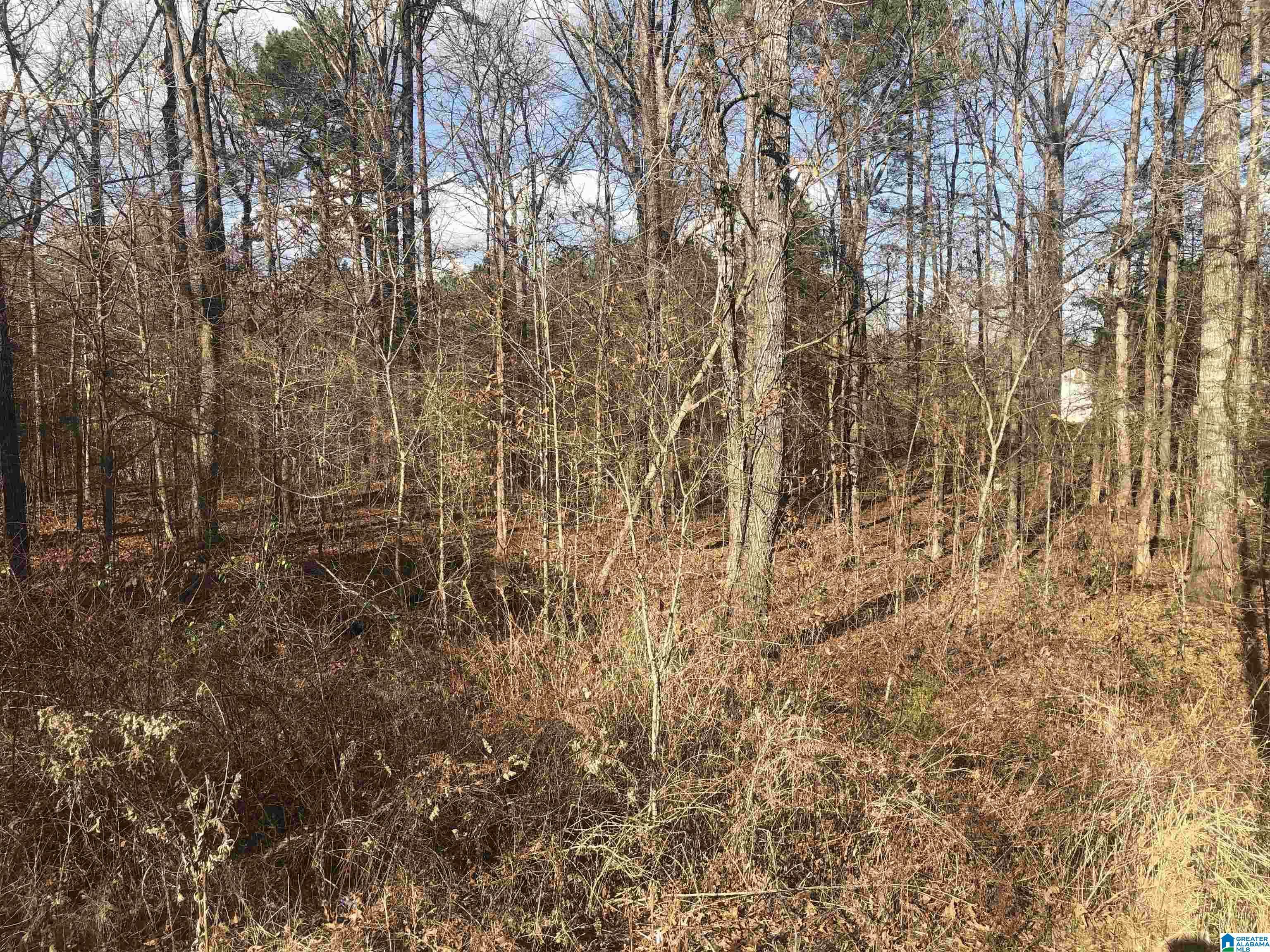 Property Photo:  20256 Mark Drive Lot 8  AL 35111 