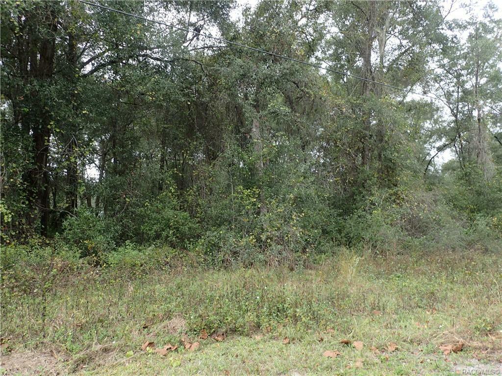 Property Photo:  174 N Zinnia Point  FL 34453 