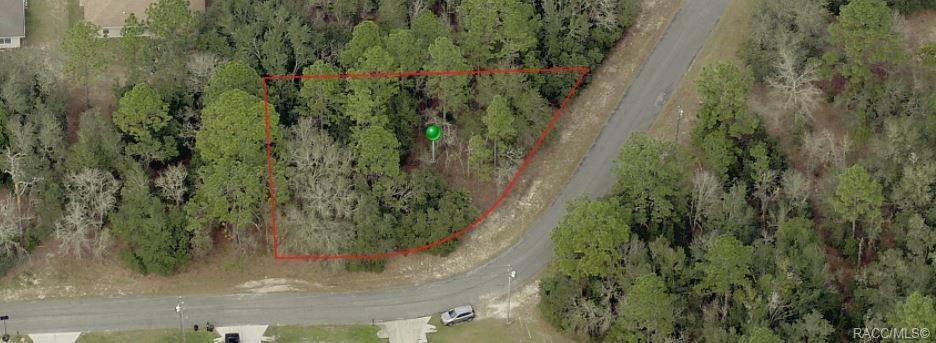 Property Photo:  904 W Homeway Loop  FL 34434 