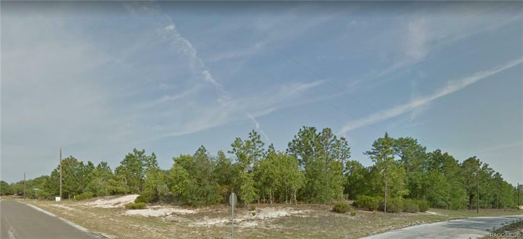 Property Photo:  10520 N Inez Terrace  FL 34433 