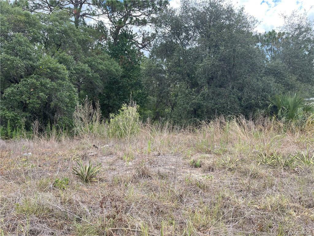 Property Photo:  3695 W Boulton Street  FL 34433 