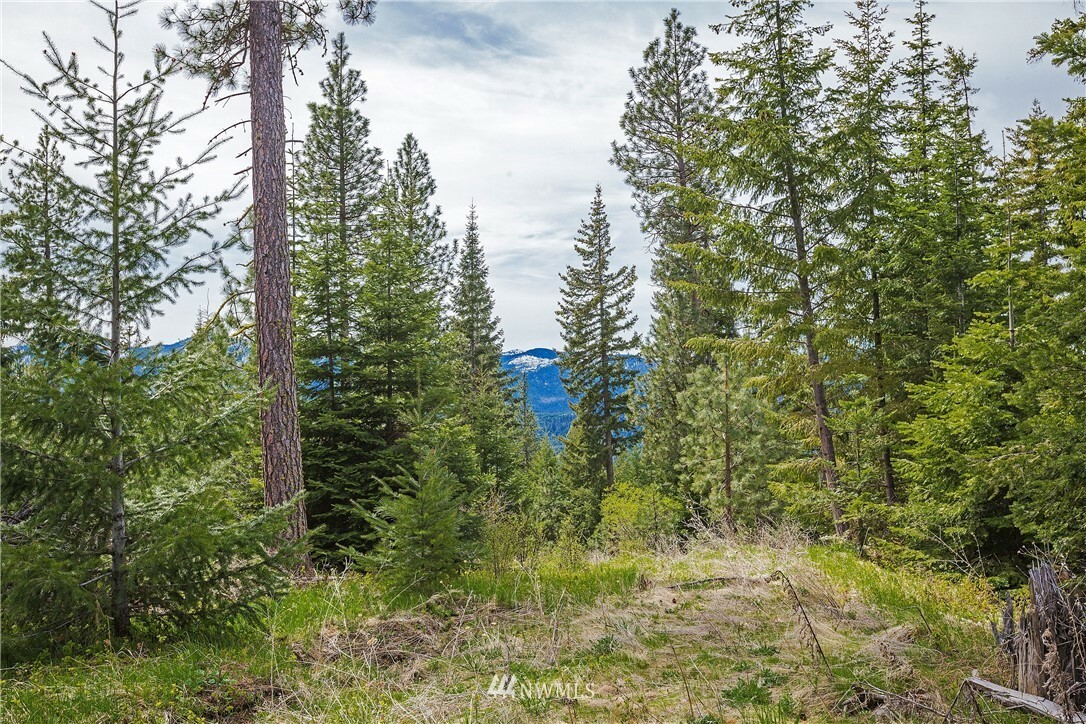 0 Lot H R&Ampr Heights Drive  Roslyn WA 98941 photo