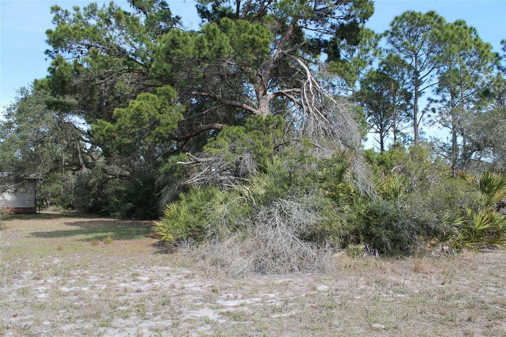 Property Photo: Camp Mack Road FL 33898