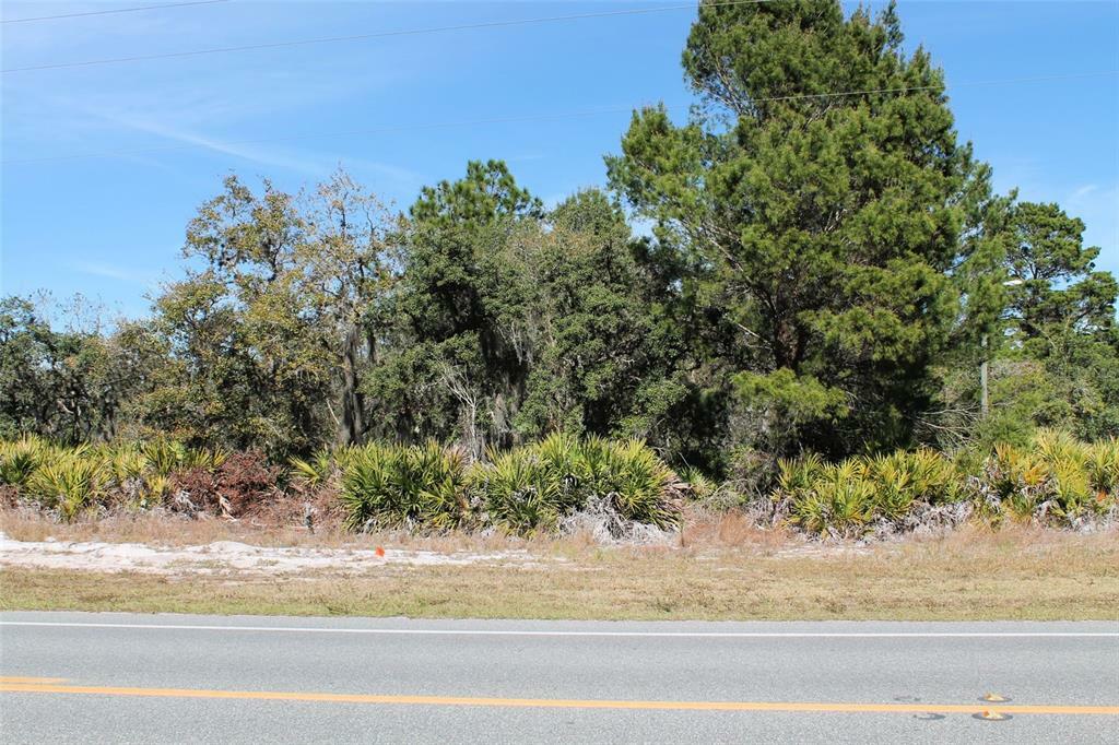 Property Photo: 0 Camp Mack Road FL 33898