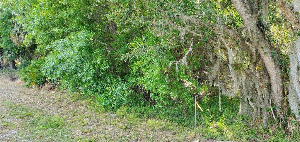 Property Photo:  1179 Inverness Street  FL 33952 