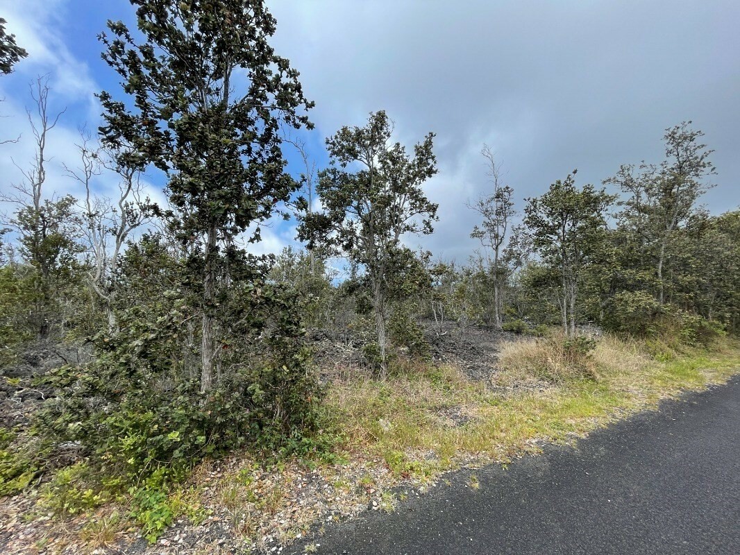 Property Photo:  Kailua Blvd  HI 96737 