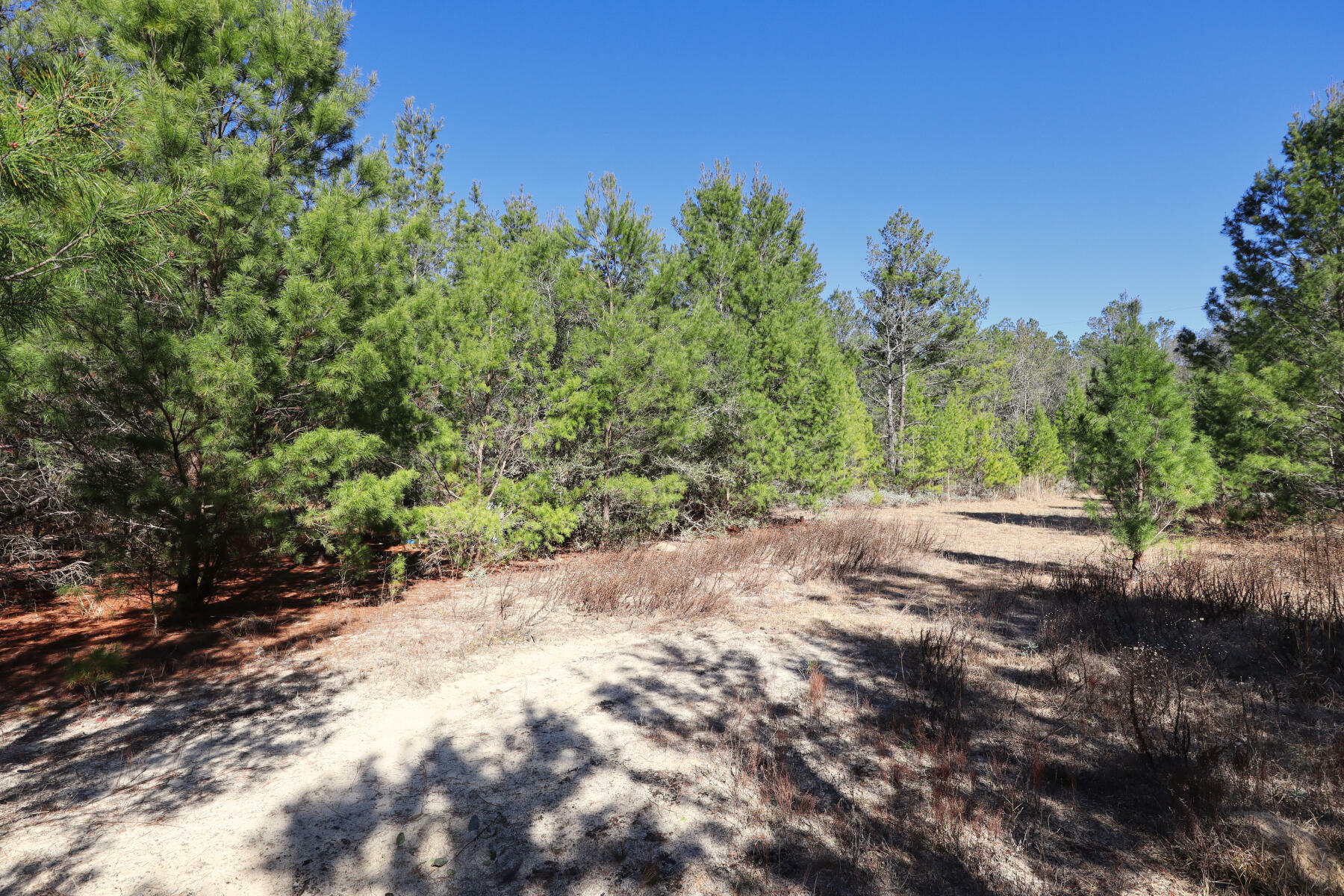 Property Photo:  Xxx Delaware Road  FL 32433 