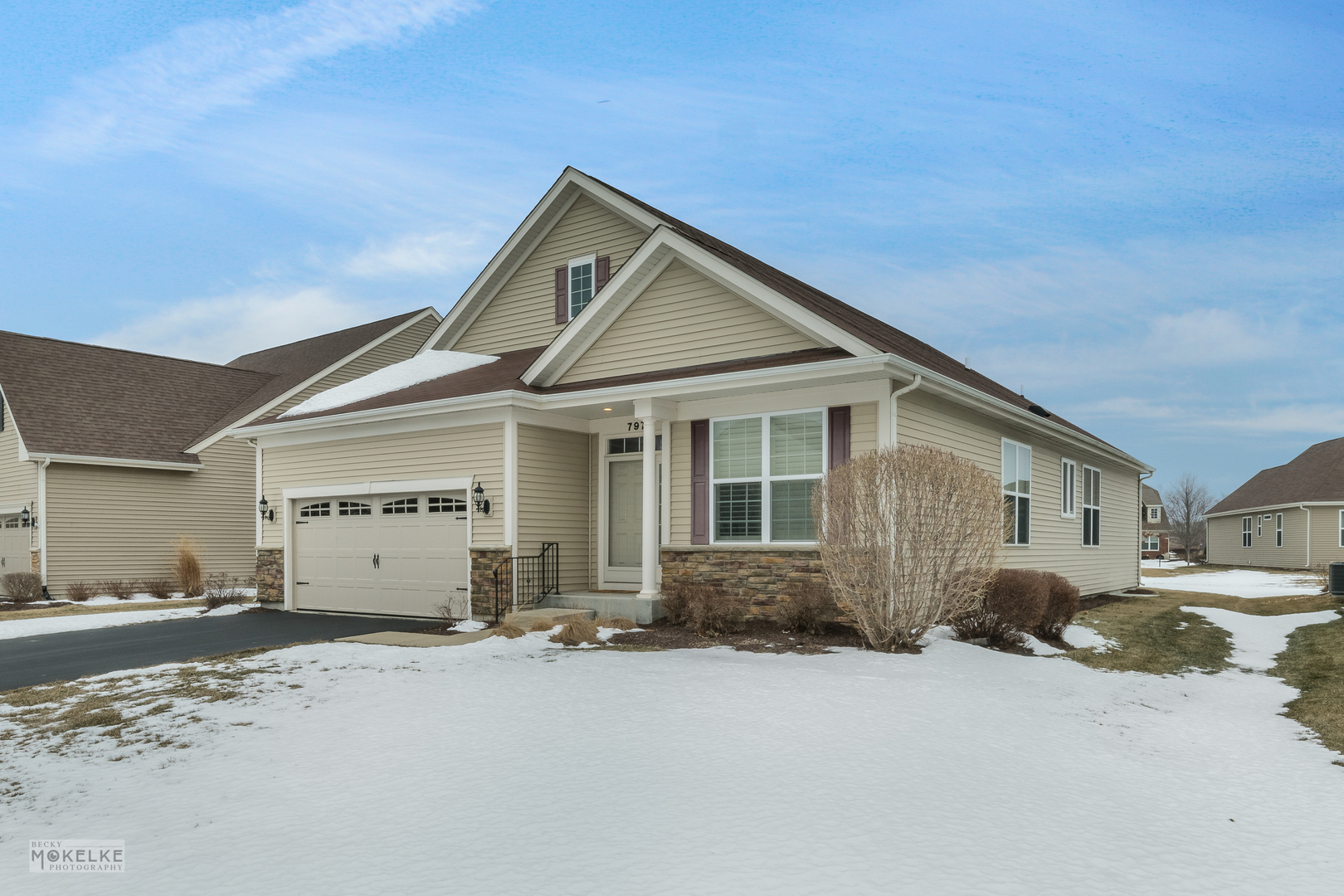 Property Photo:  797 Suffield Court  IL 60543 