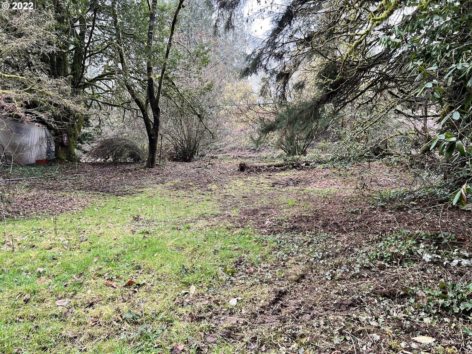 Property Photo: 1935 Pioneer St WA 98642