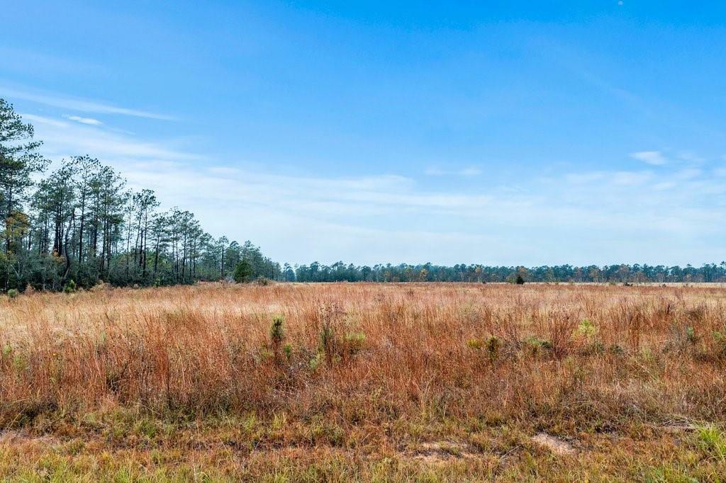 Property Photo:  Alcock Lot 1 Road  LA 70652 