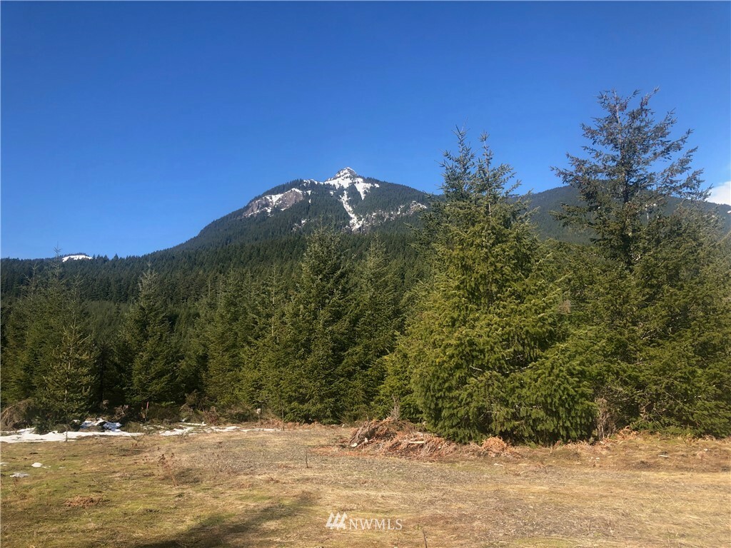 Property Photo: 155 Eagle Peak Drive WA 98361