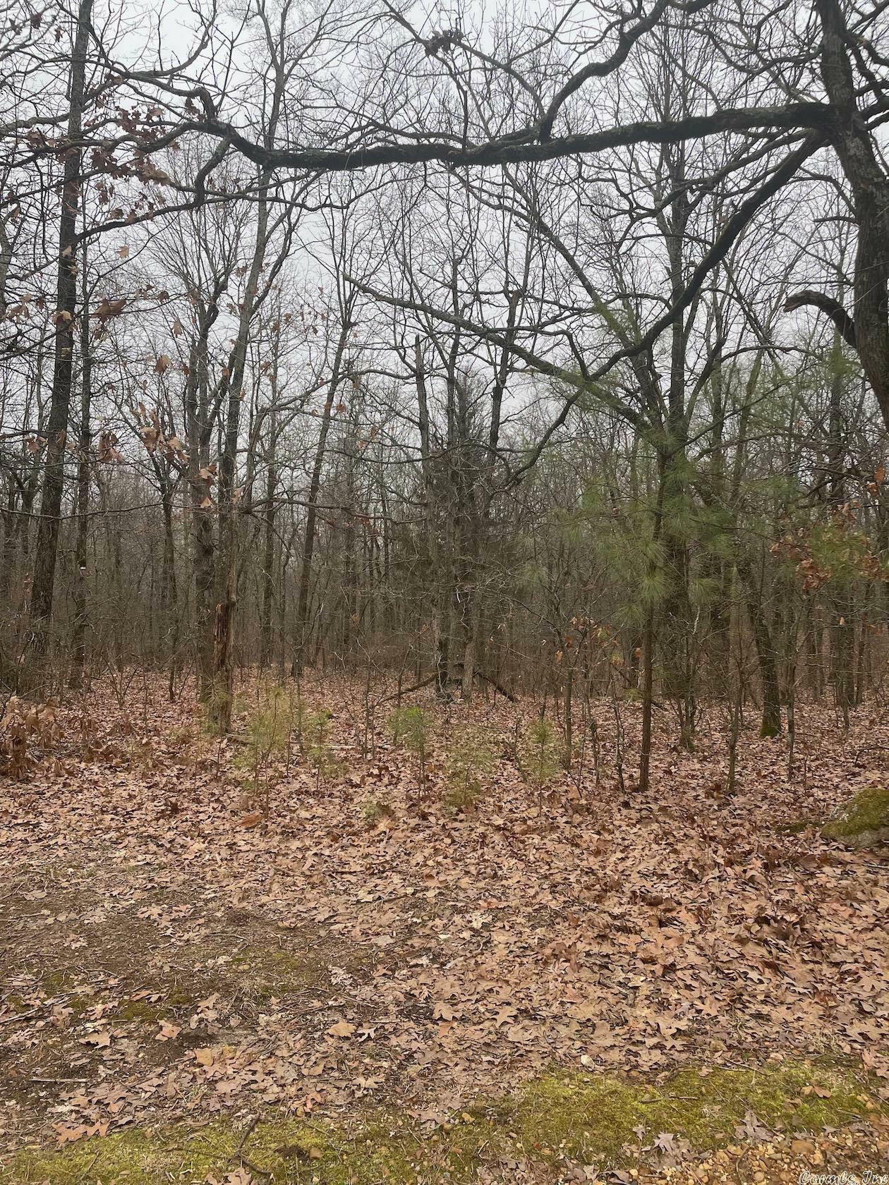 Property Photo:  5 Acres Greene 417 Road  AR 72443 