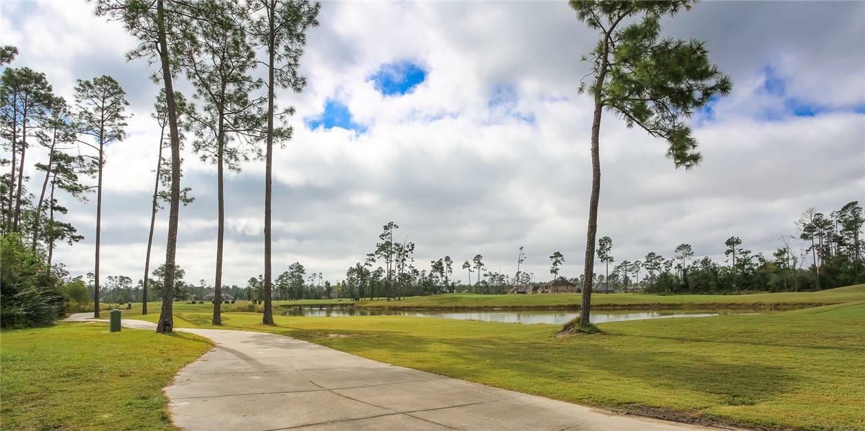 Property Photo:  Hogans Alley  LA 70669 
