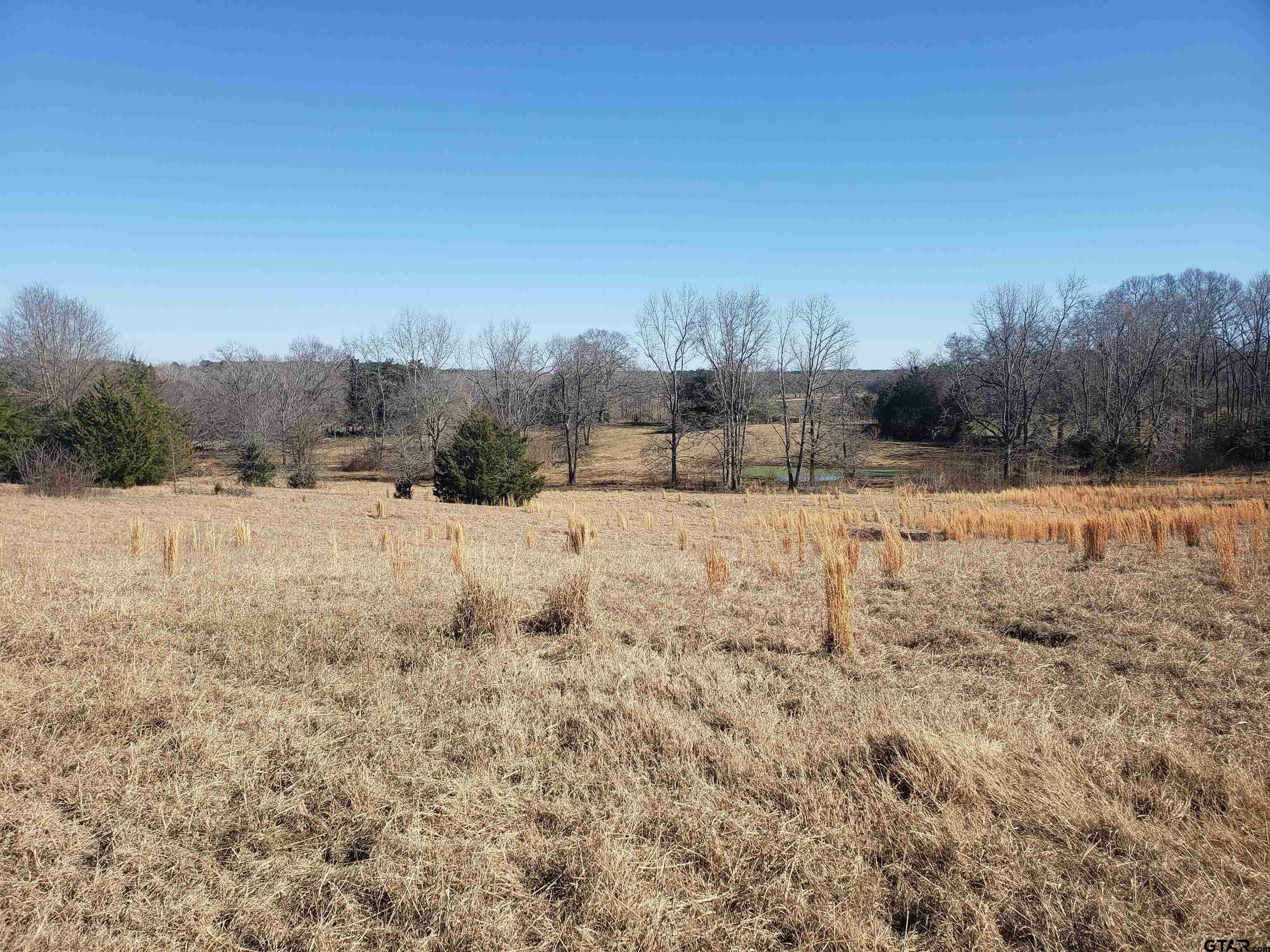 Property Photo:  Tbd Cr 2427  TX 75773 