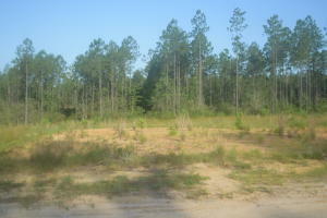 Lot 17 Goodeaux Rd  Longville LA 70652 photo