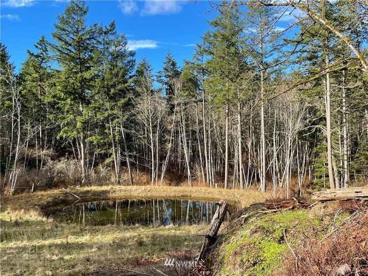 0 Timber Lane  Friday Harbor WA 98250 photo