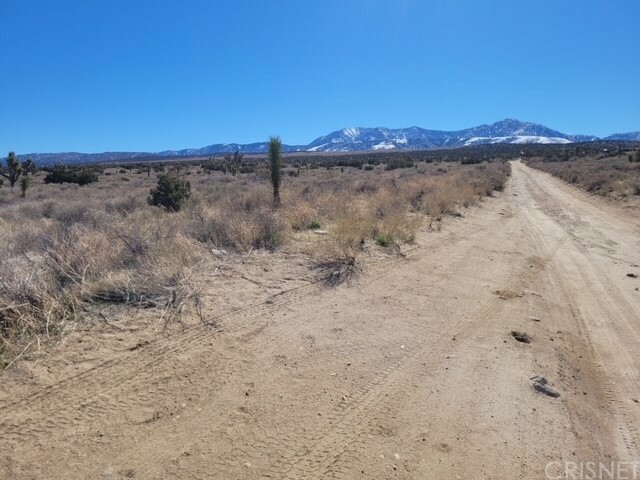 Property Photo:  0 Vac/Fort Tejon Drt /Vic 180 St  CA 93544 