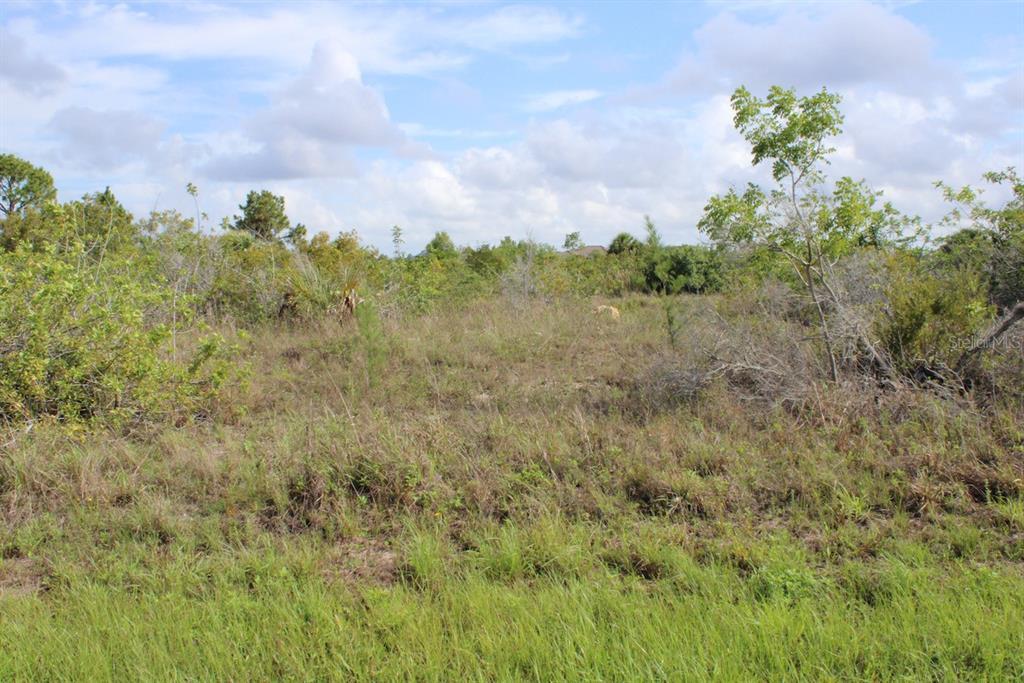 Property Photo: 15084 Leipzig Circle FL 33981