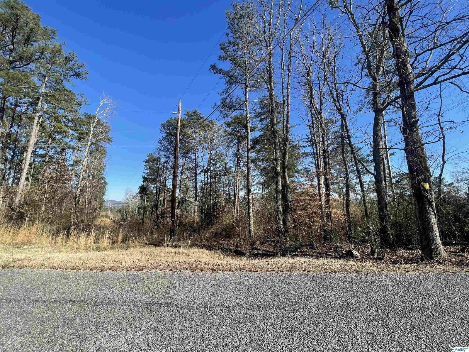 Property Photo:  3575 Scenic Highway  AL 35904 