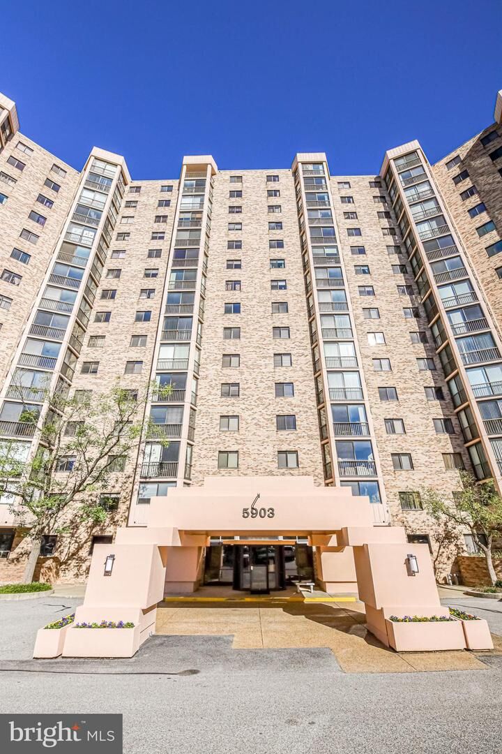 5903 Mount Eagle Drive 614  Alexandria VA 22303 photo