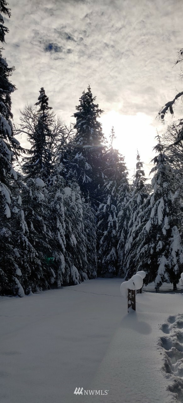 Property Photo: 32504 State Route 706 E WA 98304