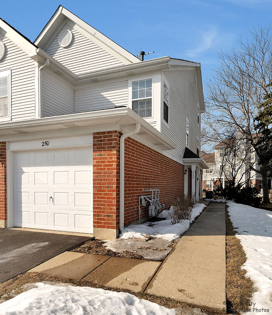 Property Photo: 250 Ashbury Lane E 250 IL 60172