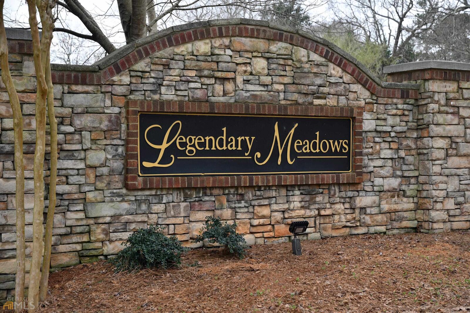 Property Photo: 46 Alex Court GA 30548