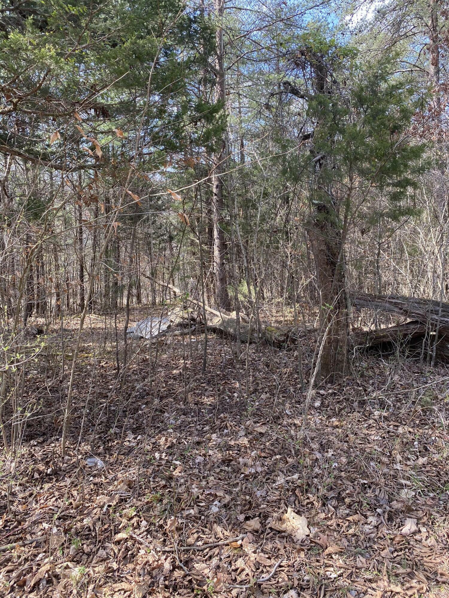 Property Photo:  Lot 19 North Fork Road  KY 42519 