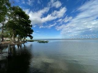 Property Photo:  17516 Raintree Court  FL 34756 