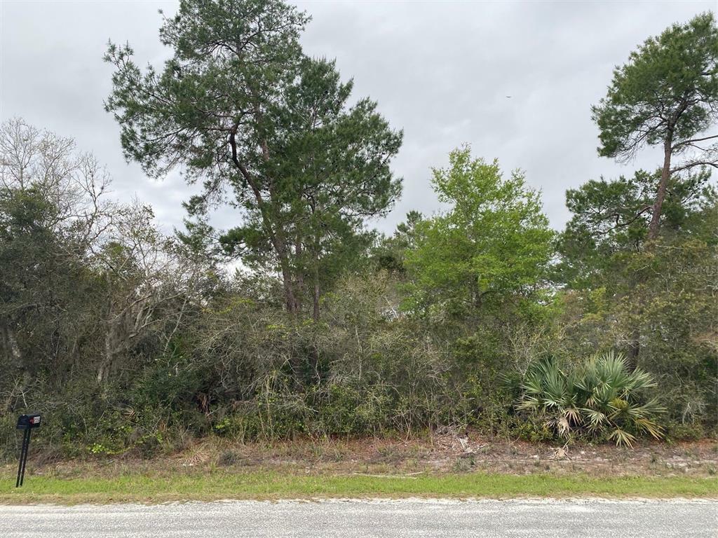 Property Photo:  6th Avenue  FL 32724 