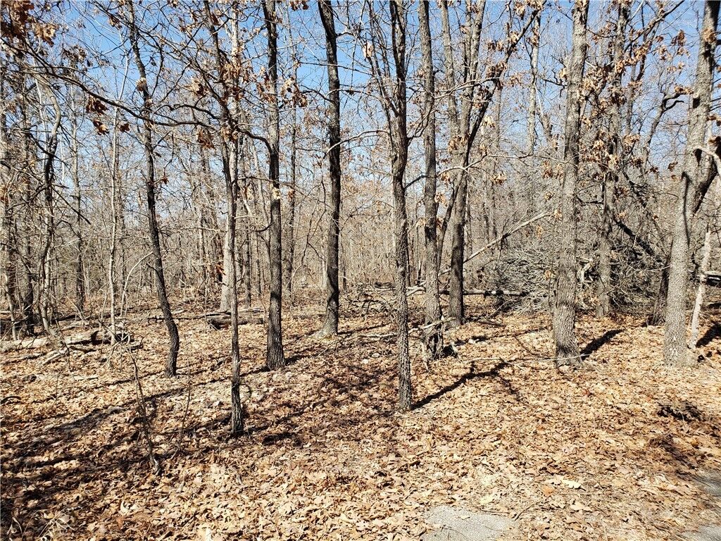 Property Photo:  Scourie Lane  AR 72715 