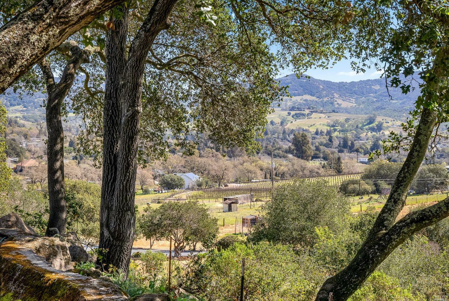 Property Photo:  1430 Coombsville Road  CA 94558 