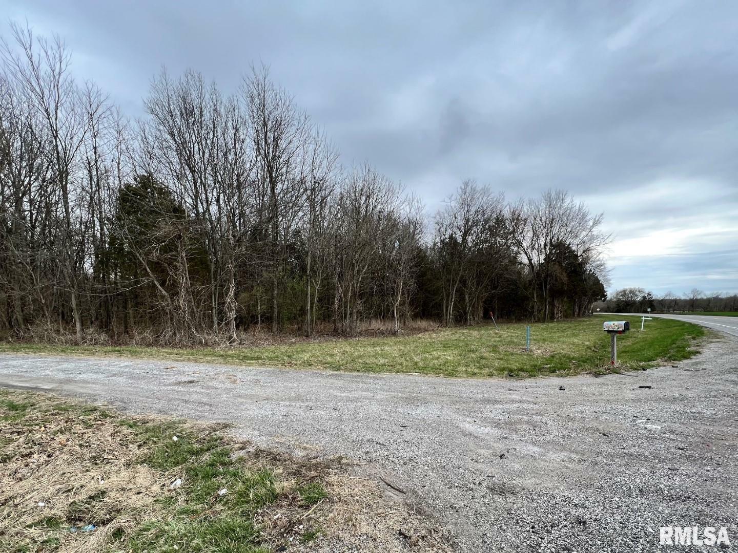 Property Photo: 000 US Route 51 Highway IL 62924