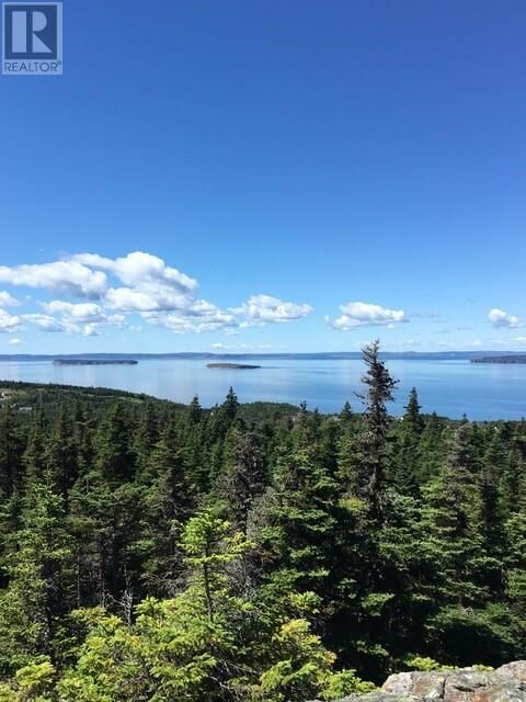 159-171 Moonlight Drive  Paradise NL A1L 3V5 photo