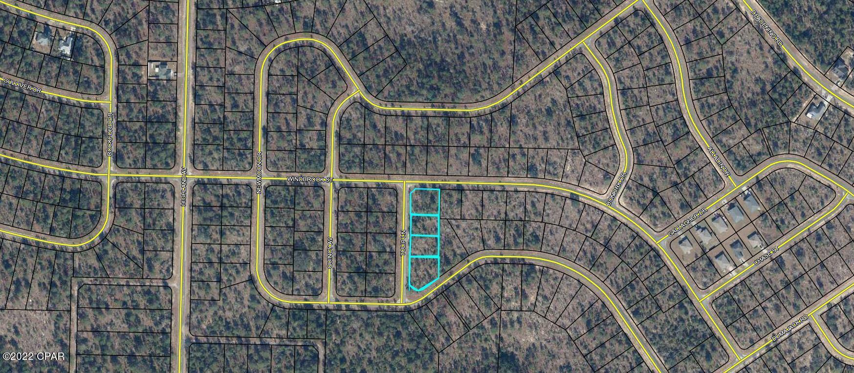 Property Photo:  4 Lots Tulip Lane  FL 32428 