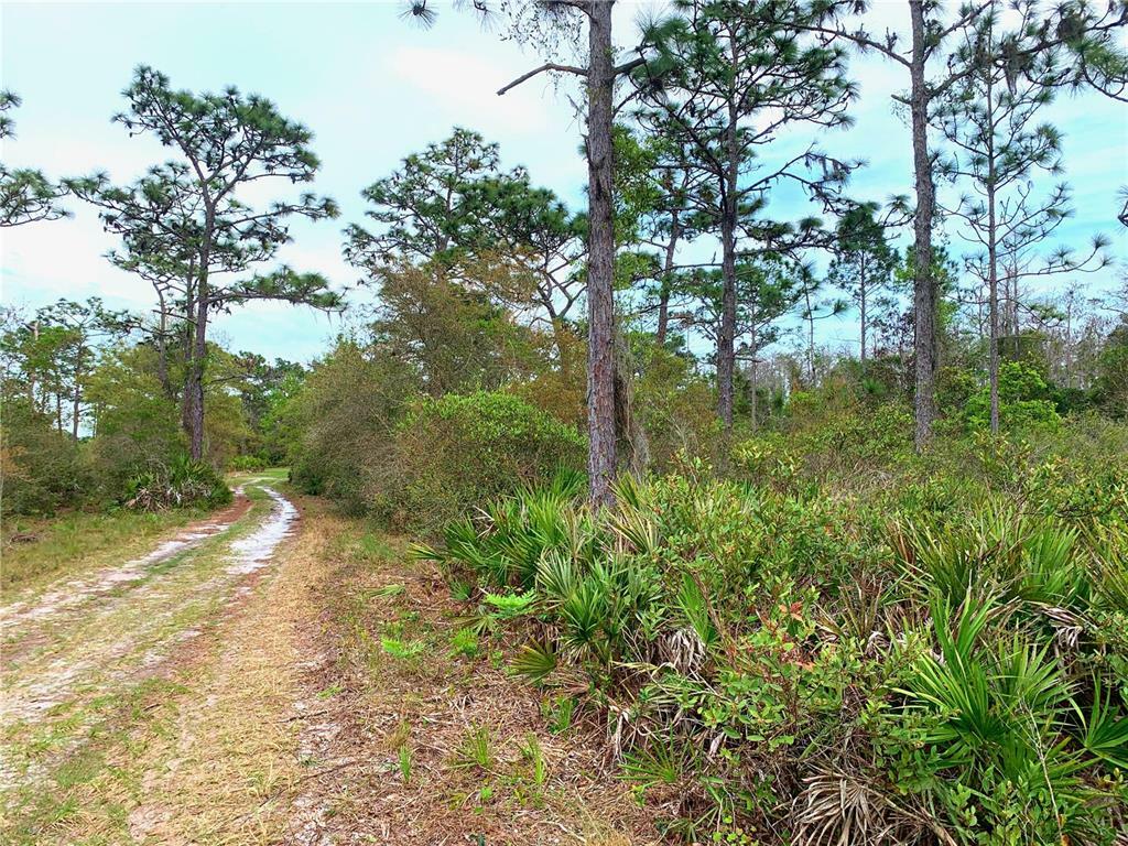 Property Photo:  Crabgrass Road  FL 34773 