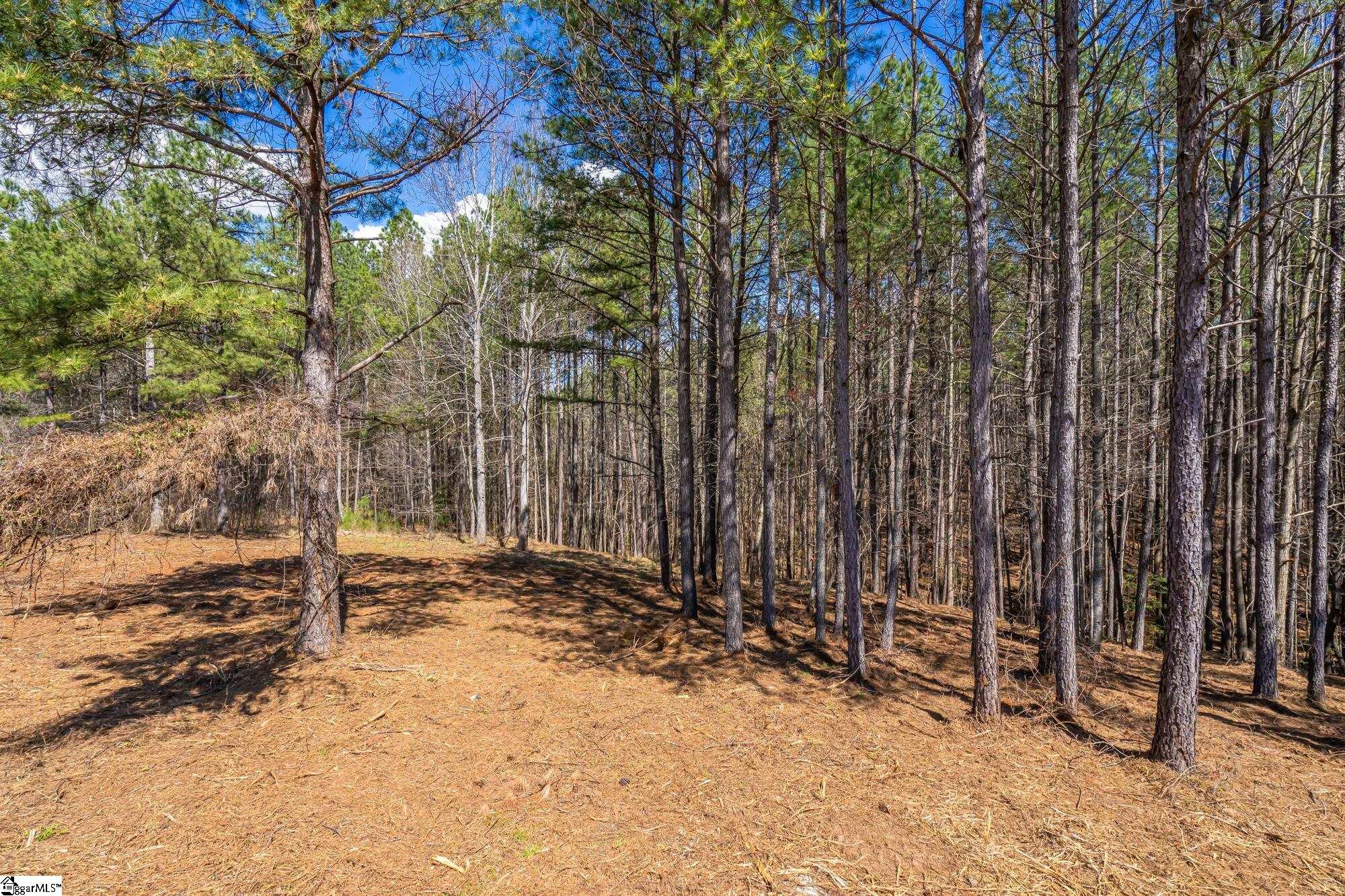 Property Photo:  0 Lightwind Court Lot 220  SC 29672 