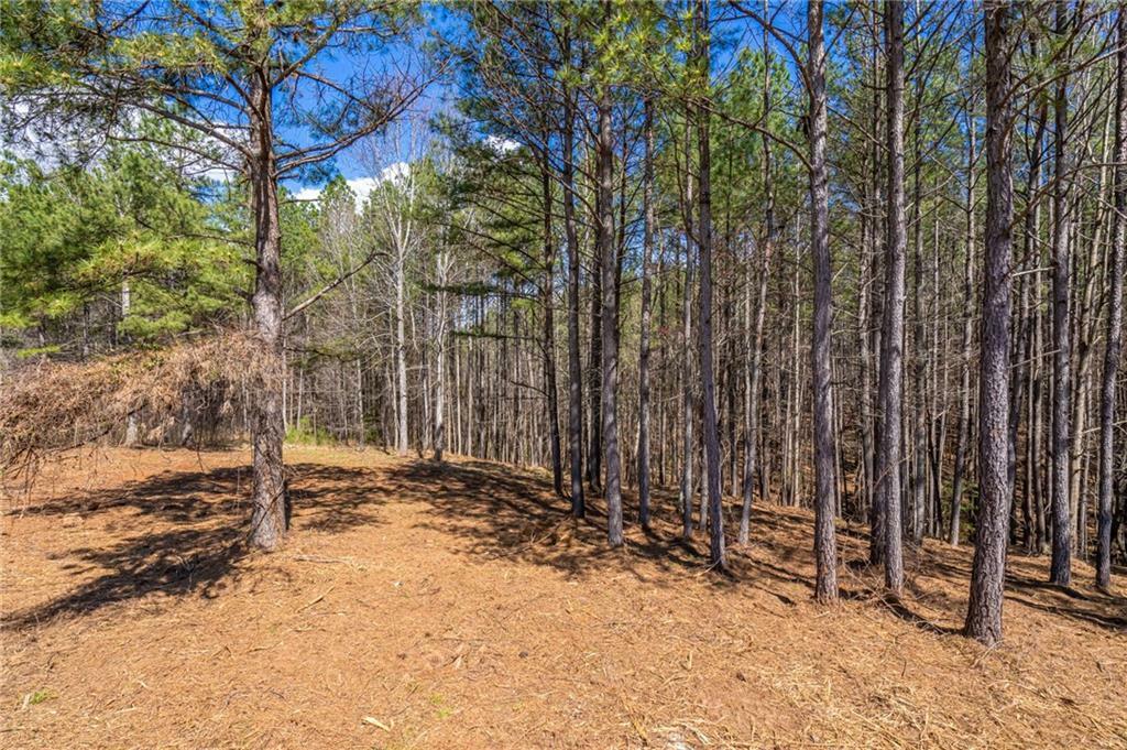 Property Photo:  Lot 220 Lightwind Court  SC 29672 