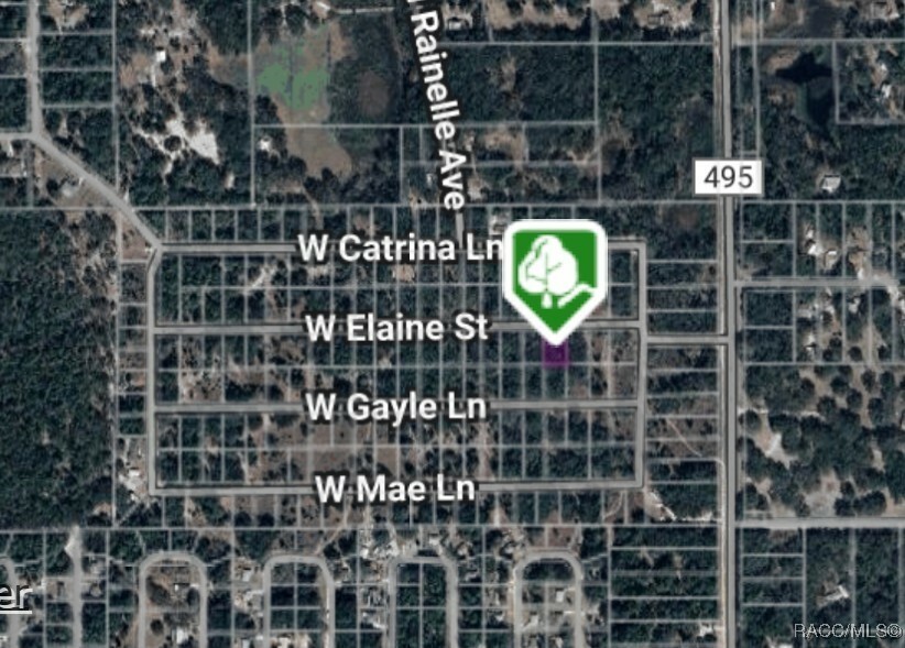 Property Photo: 8150 Elaine Street FL 34428