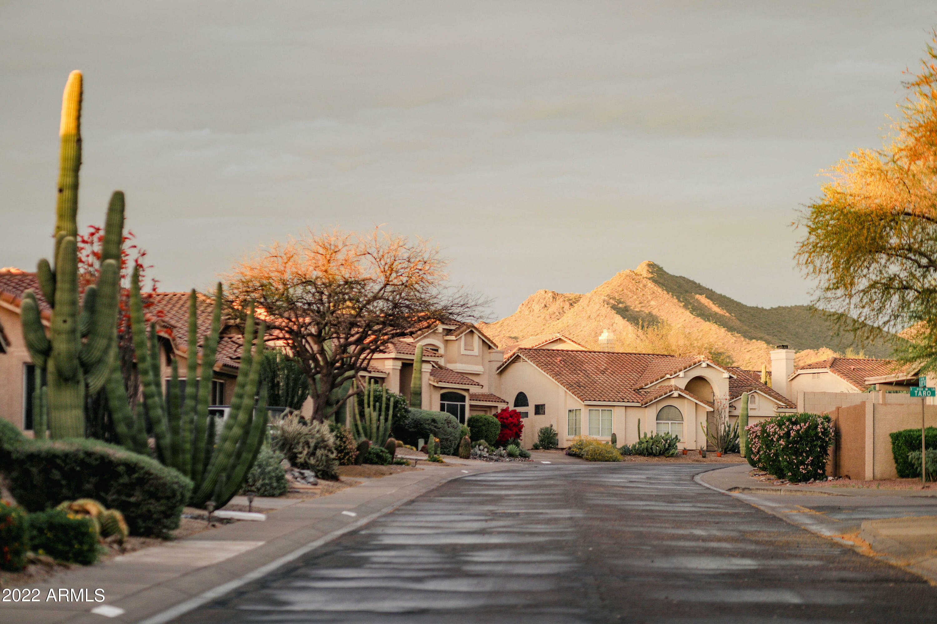 Property Photo: 19088 N 91st Street AZ 85255