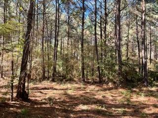 Property Photo:  Lot 2 Big Lake Road  LA 71360 