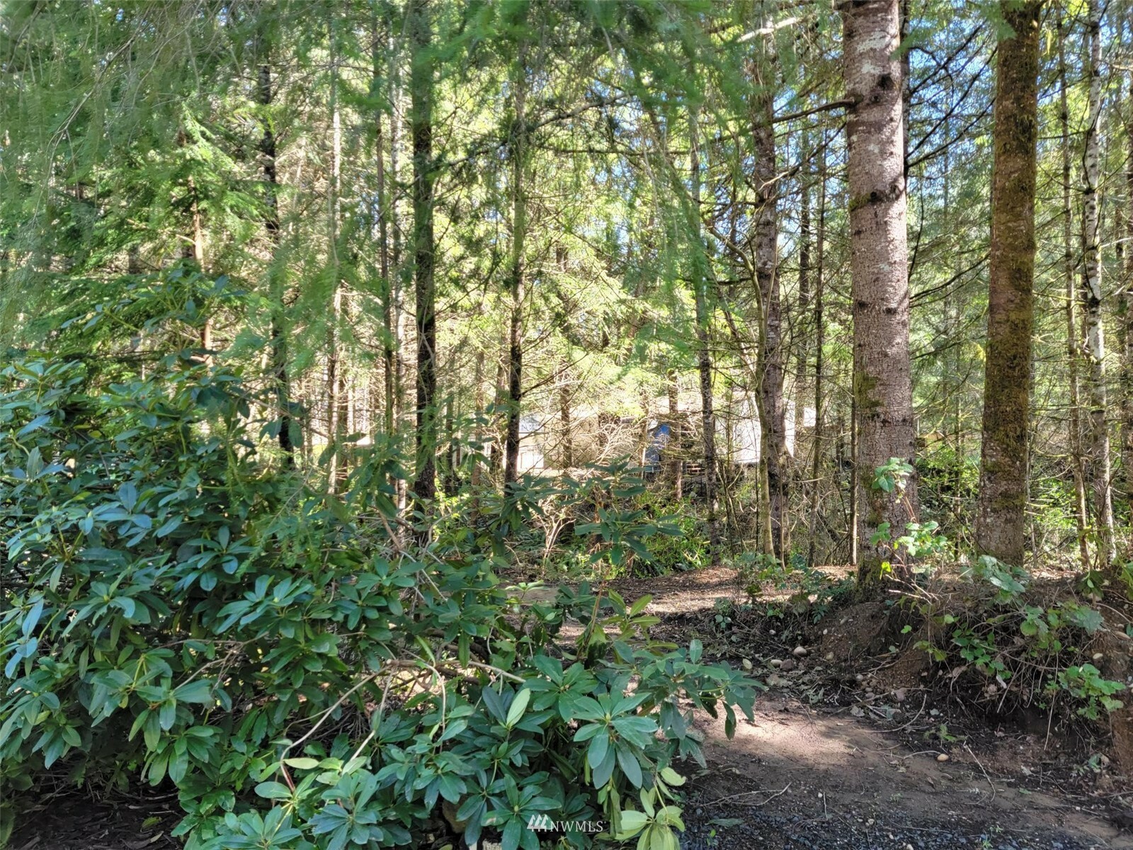 Property Photo:  101 E Dream Lane  WA 98528 