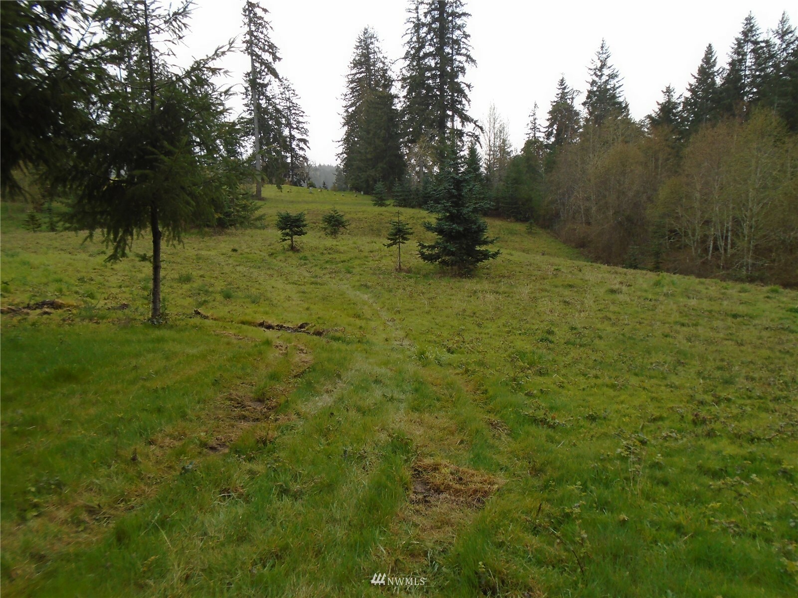 Property Photo:  0 100th Street NW  WA 98394 