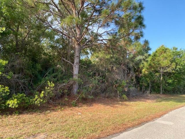 Property Photo:  14353 Cando Avenue  FL 33981 