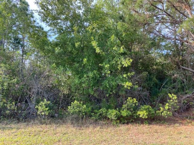 Property Photo:  14361 Cando Avenue  FL 33981 