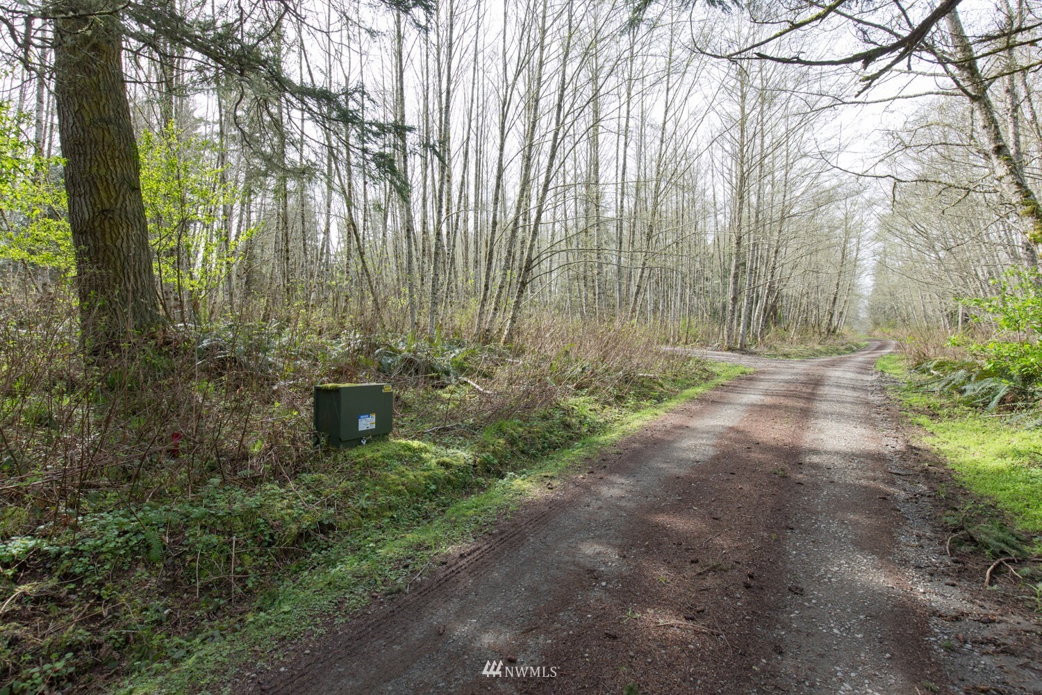 Property Photo: 283 Springhaven Lane WA 98363