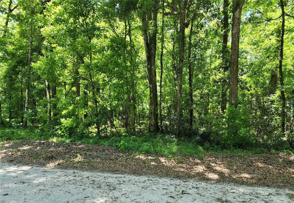 Property Photo:  0000 SW Delaware Way  FL 32038 